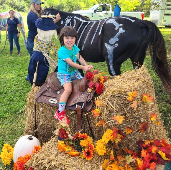 Meet your Posher, Meelisa - Picture 2 of 11